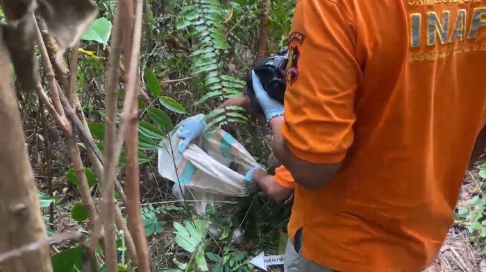 Balita 4 Tahun Tewas Terbungkus Karung di Konawe Selatan Sempat Hilang 2 Hari