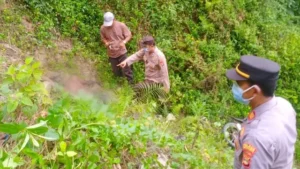 Jurang di Tanggamus Lampung Jadi Lokasi Penemuan Mayat Membusuk